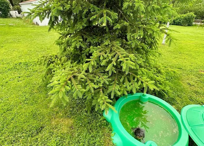 Lacaze D Aveyron Toulonjac