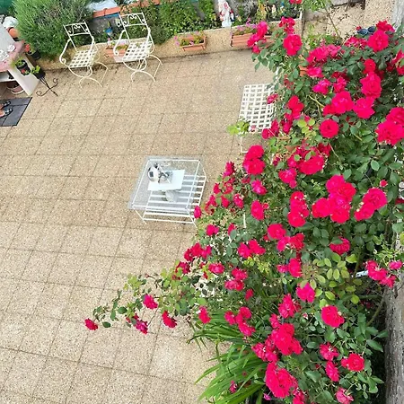 Apartman Lacaze D Aveyron *