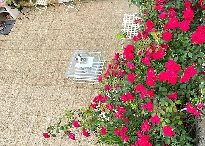 Apartman Lacaze D Aveyron *