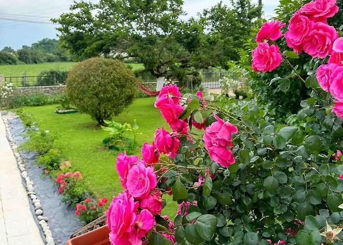 Lacaze D Aveyron Apartman